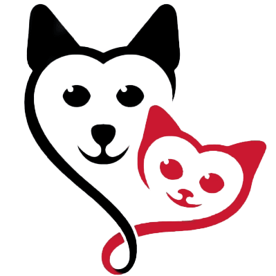 فروشگاه اینترنتی دردونه